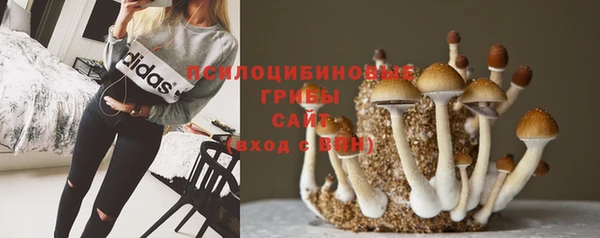 прущие крисы Балабаново