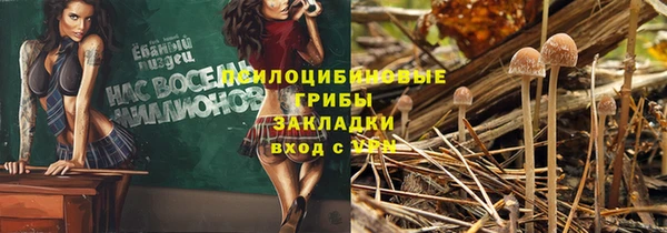 ешки Баксан