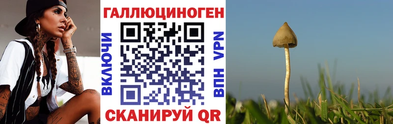 Галлюциногенные грибы Cubensis  Гаджиево 